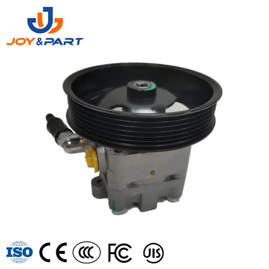 Fabrik Direktversorgung Auto Ersatzauto Teile 49110-8H305 Servolenkingpumpe