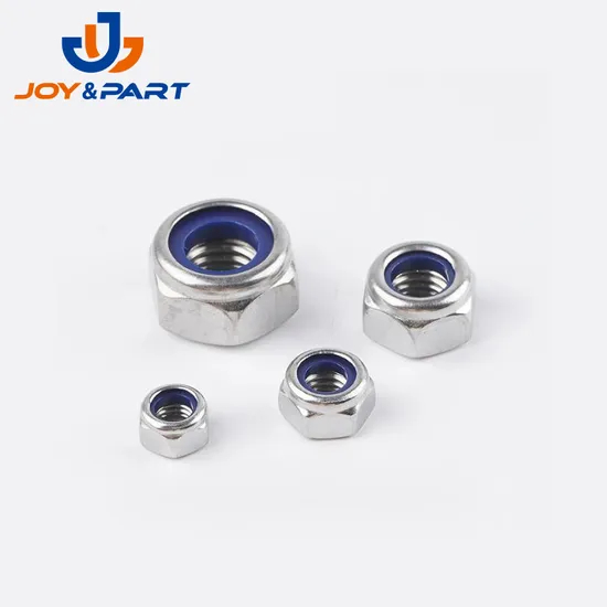 Auto -Motiv -Hex -Lock -Nüsse mit Nylonring