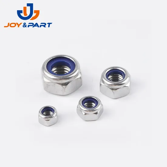 Auto -Motiv -Hex -Lock -Nüsse mit Nylonring