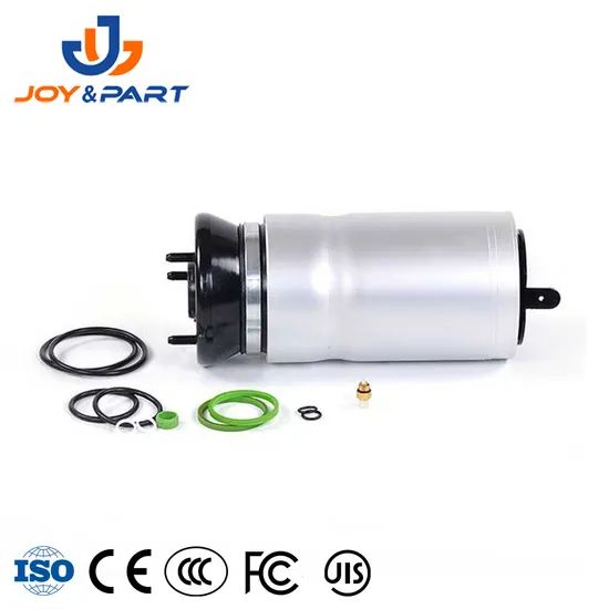 Automatische Ersatzaufhängungsteile vordere Luftaufhängung Federreparaturkit