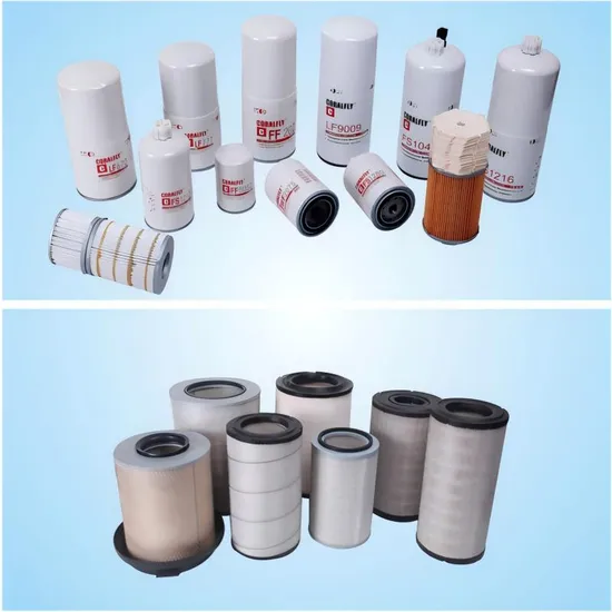 LKW-Kraftstofffilter FS1022 / FS1040 | Beliebte Großhandelsmodelle