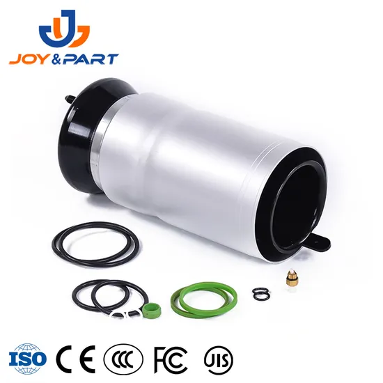 Automatische Ersatzaufhängungsteile vordere Luftaufhängung Federreparaturkit