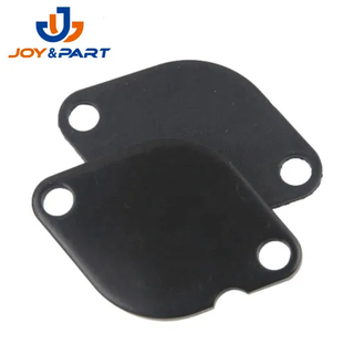 OEM China Factory Moto Fahrzeugteile Stempeln EGR Ventil Blankingplatte