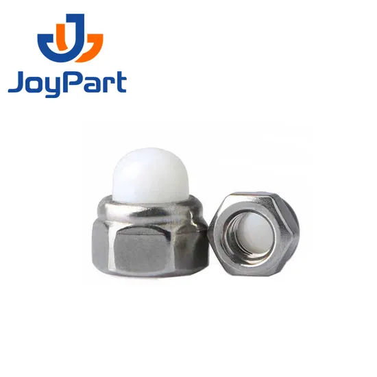 SS316 Selbstverriegelungsmutterkappe Edelstahl 304 DIN986 DOME NYLON OEM ODM NICHT OBM DIN 2-5 TAGE FÜR DEN Standardteilemetrik