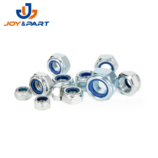 Auto -Motiv -Hex -Lock -Nüsse mit Nylonring