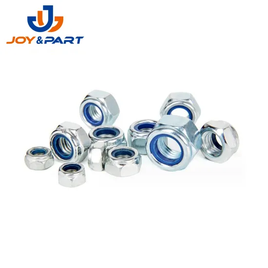 Auto -Motiv -Hex -Lock -Nüsse mit Nylonring