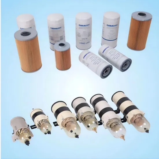 LKW-Kraftstofffilter FS1022 / FS1040 | Beliebte Großhandelsmodelle