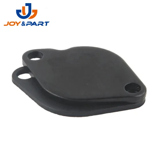 OEM China Factory Moto Fahrzeugteile Stempeln EGR Ventil Blankingplatte