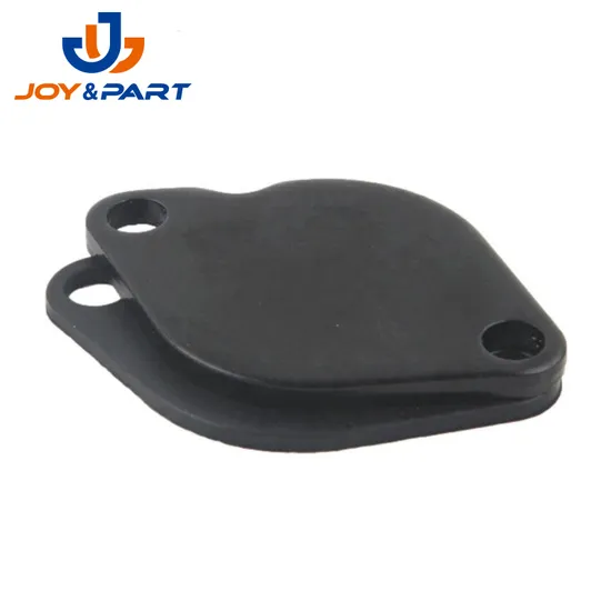 OEM China Factory Moto Fahrzeugteile Stempeln EGR Ventil Blankingplatte