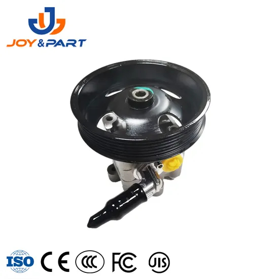 Fabrik Direktversorgung Auto Ersatzauto Teile 49110-8H305 Servolenkingpumpe