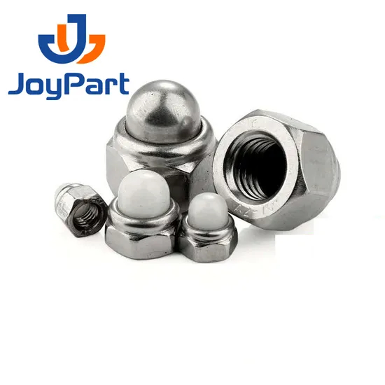 SS316 Selbstverriegelungsmutterkappe Edelstahl 304 DIN986 DOME NYLON OEM ODM NICHT OBM DIN 2-5 TAGE FÜR DEN Standardteilemetrik