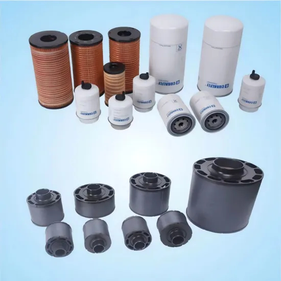 LKW-Kraftstofffilter FS1022 / FS1040 | Beliebte Großhandelsmodelle