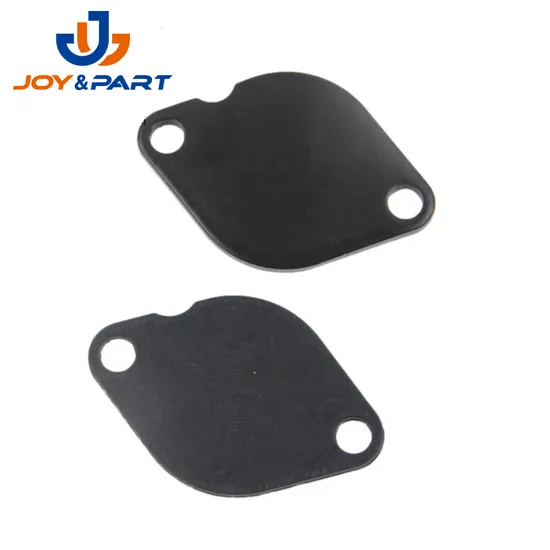 OEM China Factory Moto Fahrzeugteile Stempeln EGR Ventil Blankingplatte