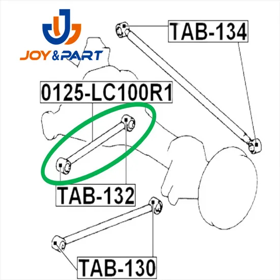Hintere laterale Steuerstange Febest 0125-LC100R1 48710-60080