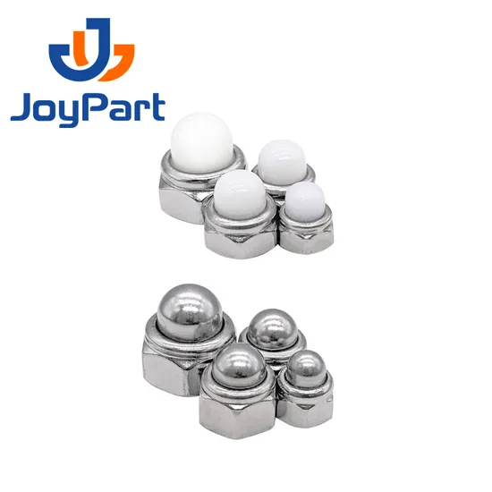 SS316 Selbstverriegelungsmutterkappe Edelstahl 304 DIN986 DOME NYLON OEM ODM NICHT OBM DIN 2-5 TAGE FÜR DEN Standardteilemetrik