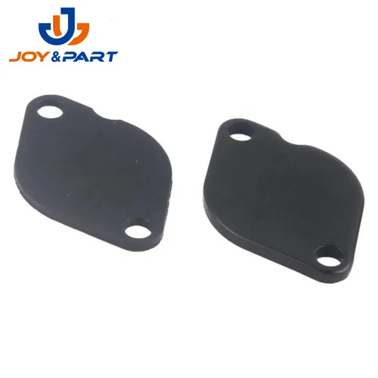 OEM China Factory Moto Fahrzeugteile Stempeln EGR Ventil Blankingplatte