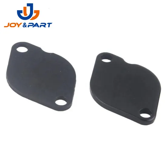 OEM China Factory Moto Fahrzeugteile Stempeln EGR Ventil Blankingplatte