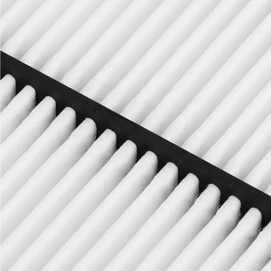 OEM/ODM -Automotor -Kabinenluftfilter Ersatz für Kfz -Ersatzluftfilter für Landkreuzer