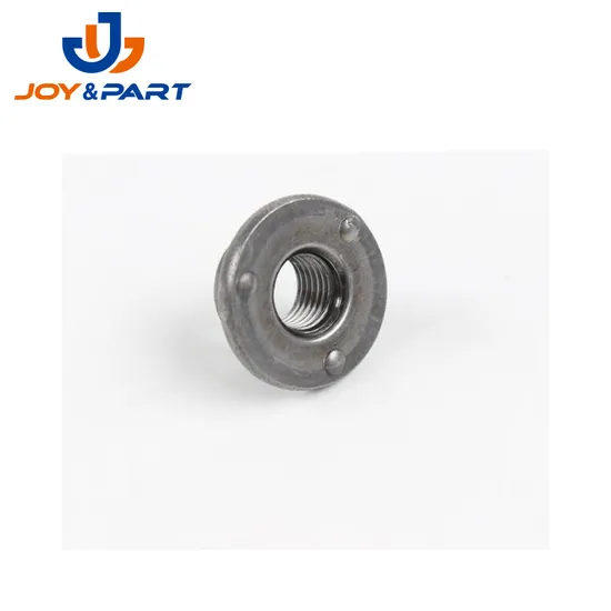 Runde geschweißte Nüsse für Auto