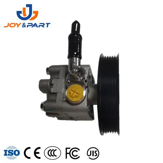 Fabrik Direktversorgung Auto Ersatzauto Teile 49110-8H305 Servolenkingpumpe