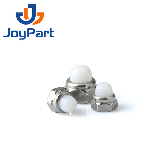 SS316 Selbstverriegelungsmutterkappe Edelstahl 304 DIN986 DOME NYLON OEM ODM NICHT OBM DIN 2-5 TAGE FÜR DEN Standardteilemetrik