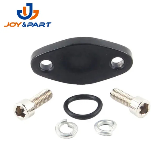 OEM China Factory Moto Fahrzeugteile Stempeln EGR Ventil Blankingplatte