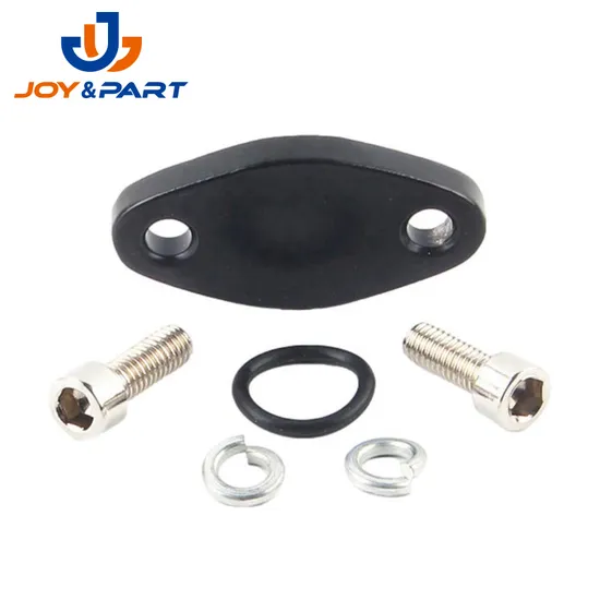 OEM China Factory Moto Fahrzeugteile Stempeln EGR Ventil Blankingplatte