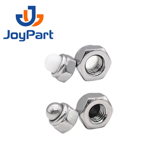 SS316 Selbstverriegelungsmutterkappe Edelstahl 304 DIN986 DOME NYLON OEM ODM NICHT OBM DIN 2-5 TAGE FÜR DEN Standardteilemetrik