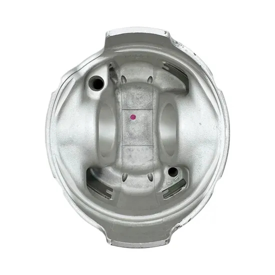 Heißer Verkauf mit hochwertigem Großhandel Motorkolben & Rings Kit