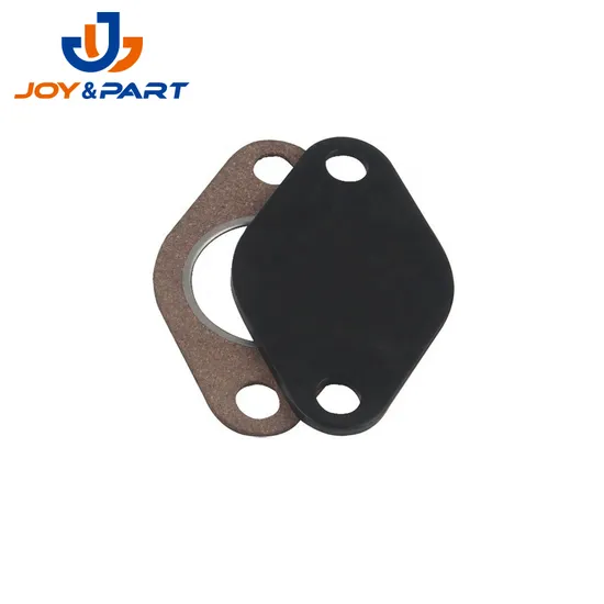 OEM China Factory Moto Fahrzeugteile Stempeln EGR Ventil Blankingplatte