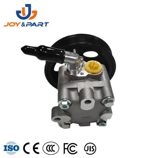 Fabrik Direktversorgung Auto Ersatzauto Teile 49110-8H305 Servolenkingpumpe